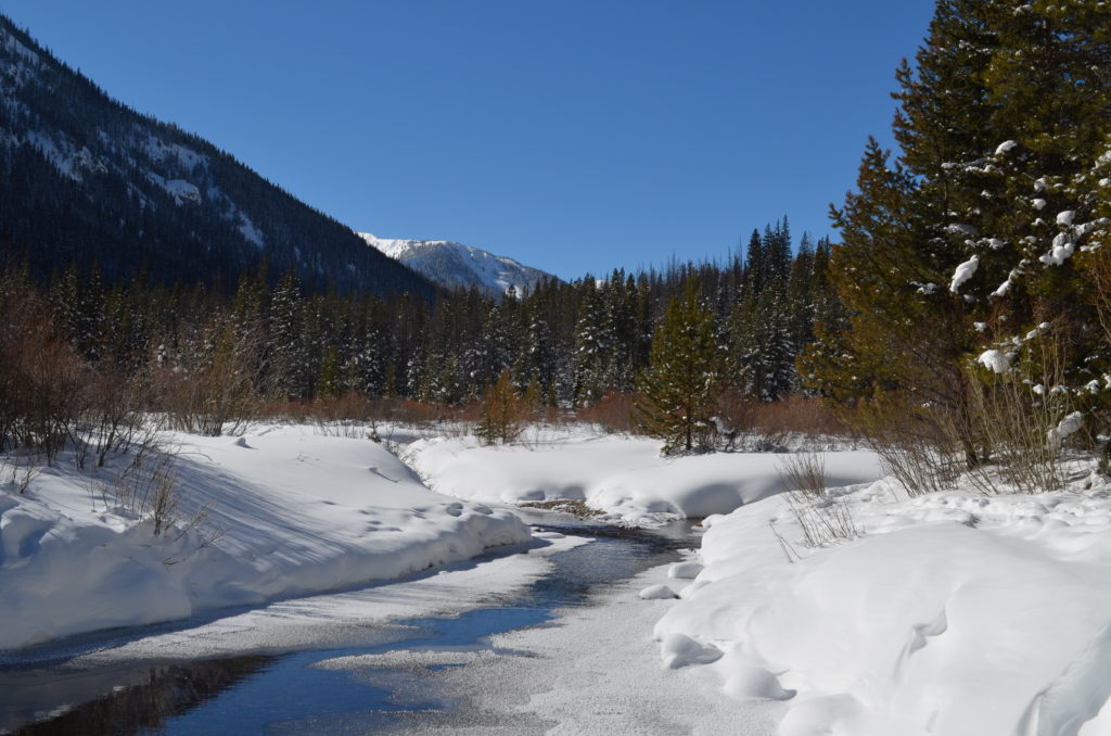 frozen stream near Frisco